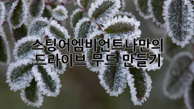 스팅어엠비언트✨나만의 드라이브 무드 만들기🚗💨